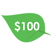 gt_$100