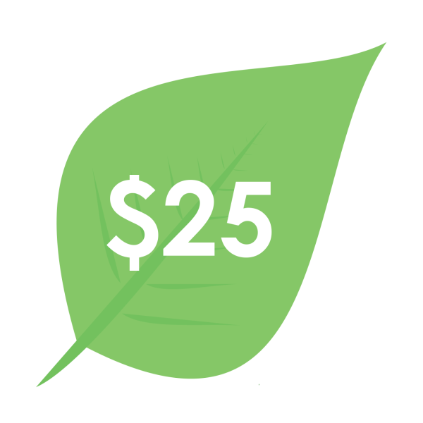gt_$25