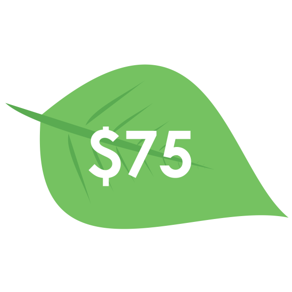 gt_$75