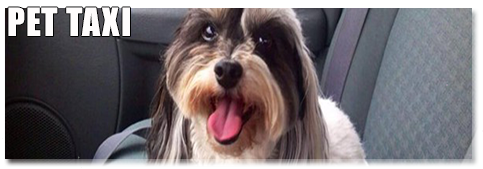 Pet Taxi 