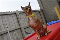 IMG_9560