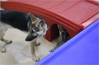 IMG_9828