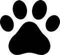 Dog grooming
